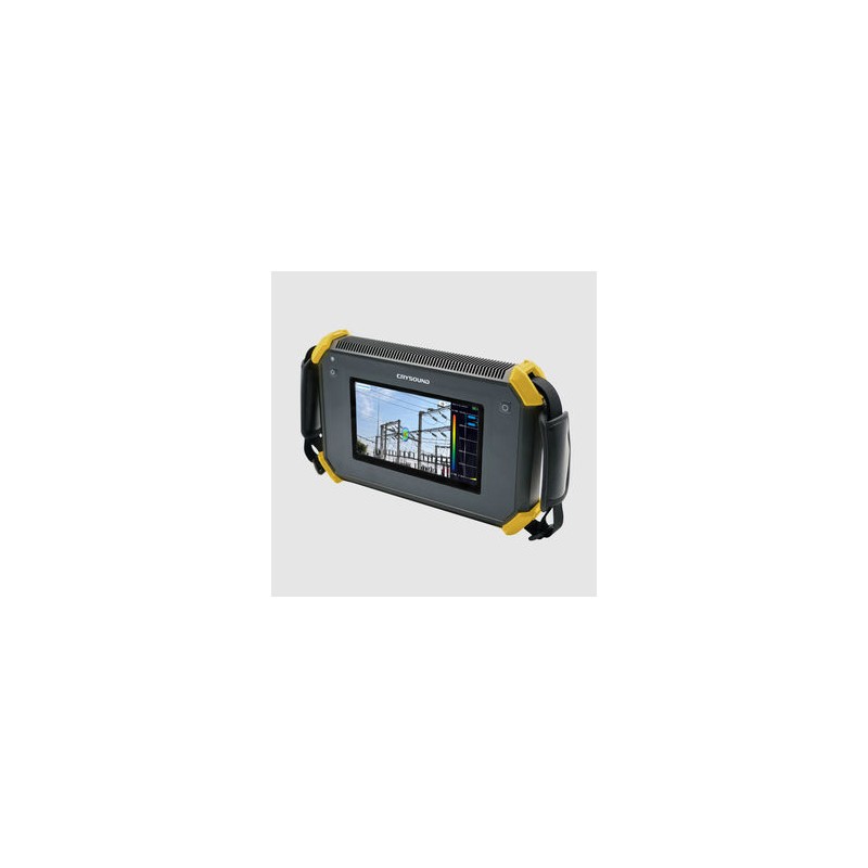 CRYSOUND 2623 - Analyseur Sonore Professionnel pour Mesure et Surveillance du Bruit