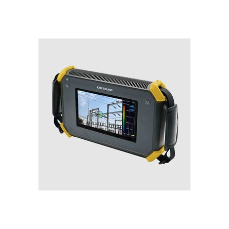 CRYSOUND 2623 - Analyseur Sonore Professionnel pour Mesure et Surveillance du Bruit
