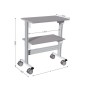 Desserte picking l 900 x P 560 x H 1080 mm de 2 niveaux sur roulettes Desserte picking l 900 x P 560 x H 1080 mm de 2 niveaux sur roulettes