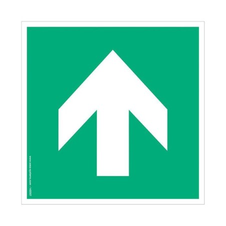 Pictogramme Flèche A090 – Signalisation directionnelle