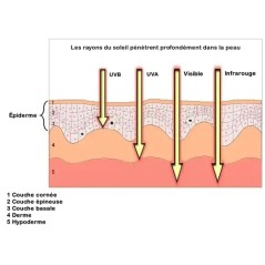 Détecteur UV – Instrument fiable pour mesurer les rayons ultraviolets