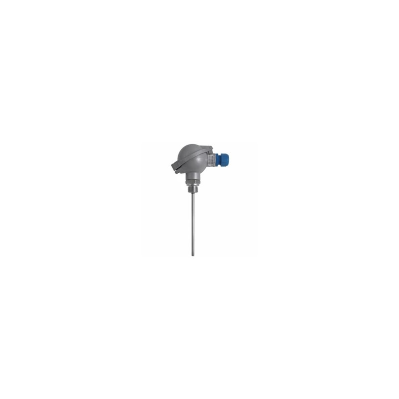 Sonde industrielle GTF103-Ex – Sonde intégrée ATEX pour mesures jusqu’à 900 °C