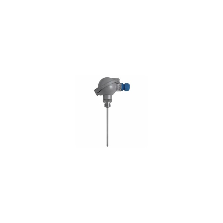 Sonde de température industrielle GTF103-Ex Sonde de température industrielle GTF103-Ex
