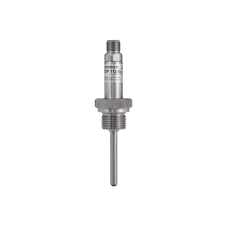 Sonde industrielle GTF112-Ex – Sonde intégrée pour zones à risque d’explosion, jusqu’à 900 °C