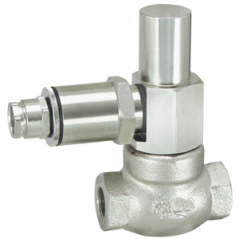 Interrupteur de débit G-…GR | Principe piston | Interrupteur à lames | DN 10–15 | Laiton rouge