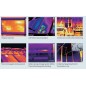 Imagerie thermique par FOTRIC ©