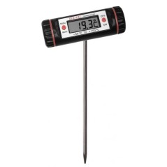 THERMOMETRE A PLANTER ( Maroc )