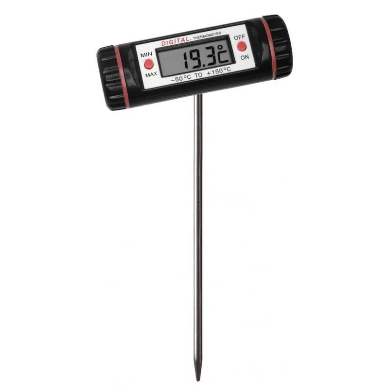 THERMOMETRE A PLANTER ( Maroc )