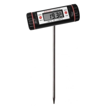 THERMOMETRE A PLANTER ( Maroc )