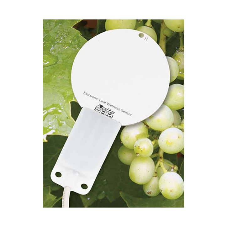 Capteur de Mouillage foliaire