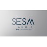 SESA AUDIT